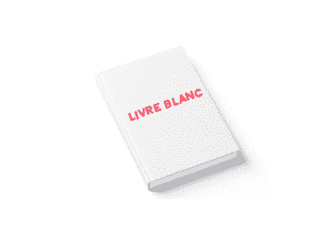 Livre blanc Goliat